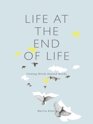 cover image of Life at the End of Life